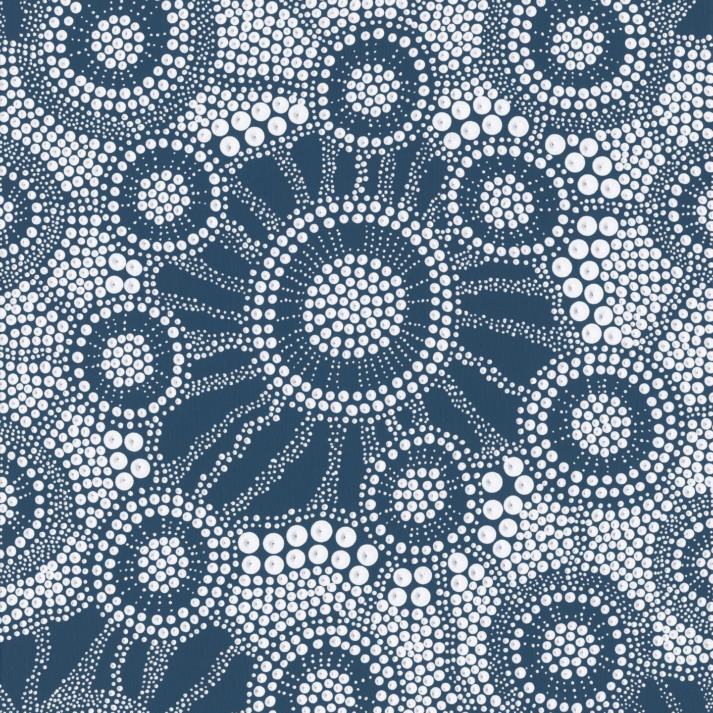 BOOKS & CO - ALL WRAPPED UP: Saltwater Sunrise by Brad Turner