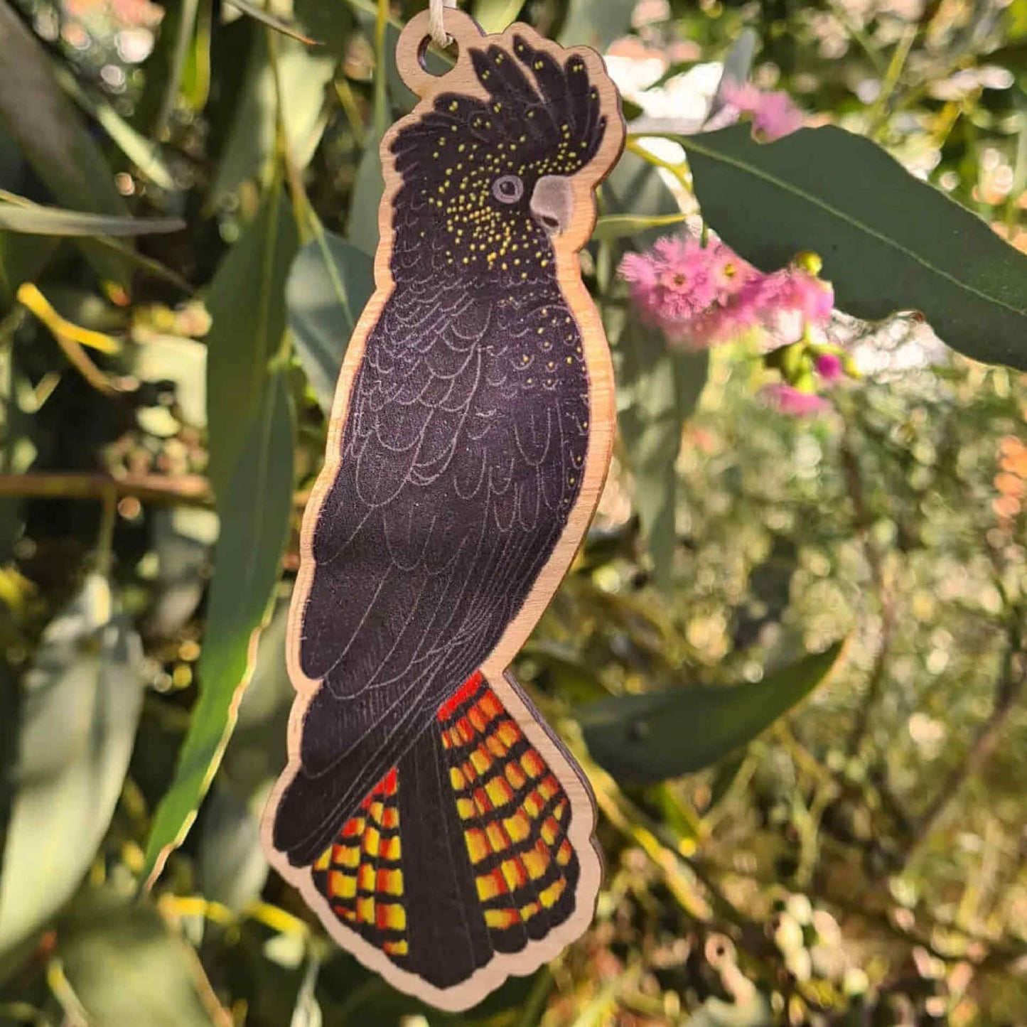 EARTH GREETINGS- Red Tailed Black Cockatoo Wooden Decoration