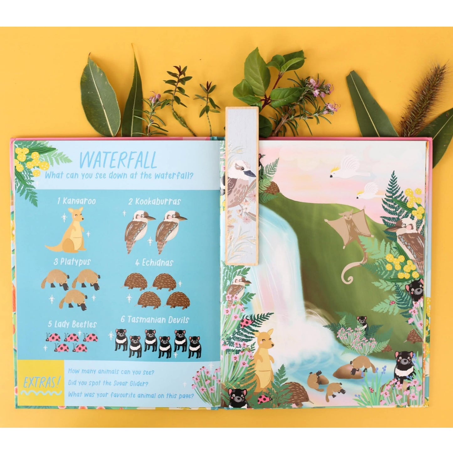 BOOKS & CO - LET’S LOOK AT AUSTRALIAN BIRDS- Christie Williams