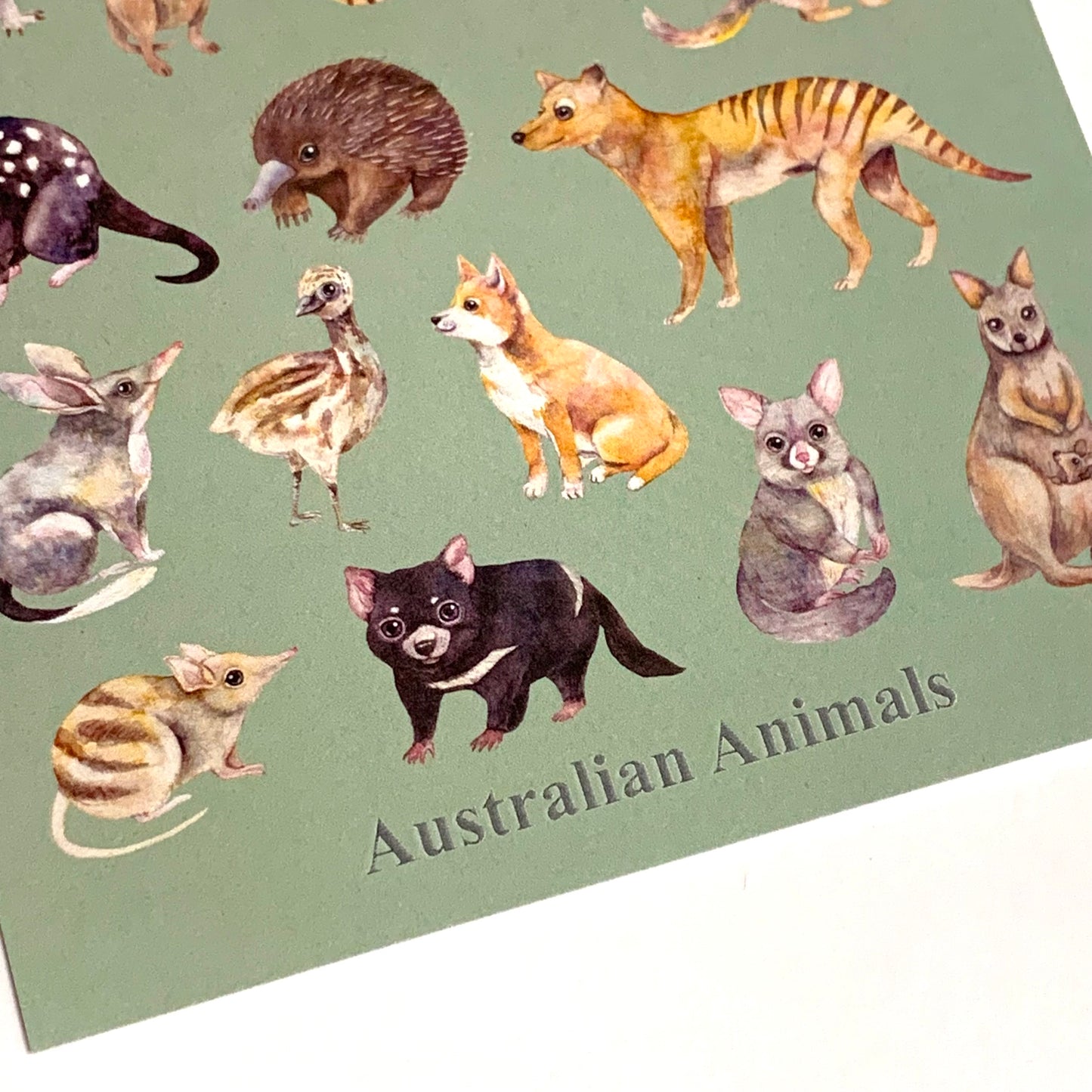 WATERCOLOURS BY CAT- Australian Animals - Recycled Postcard