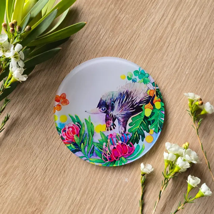 WATERCOLOURS BY CAT- Echidna- Australian Animal Art Coaster
