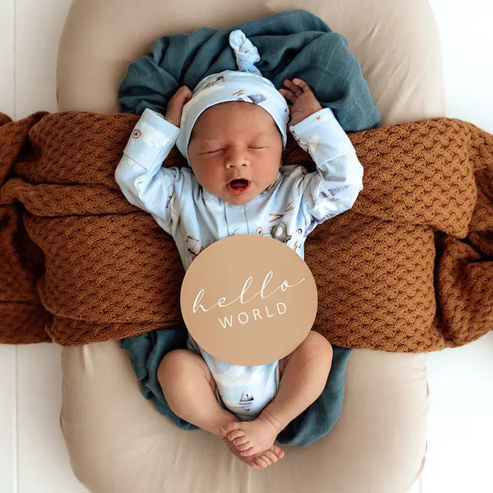 SNUGGLE HUNNY Taking Flight & Pebble Reversible Milestone Cards
