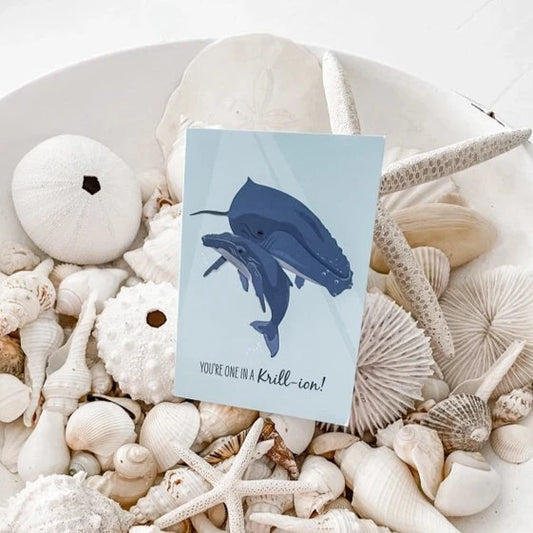 SAILFISH CREATIVE- "One in a Krill-ion!" Humpback Whale Card