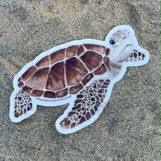 Shanna Trees Creations- Green Turtle Medium Sticker