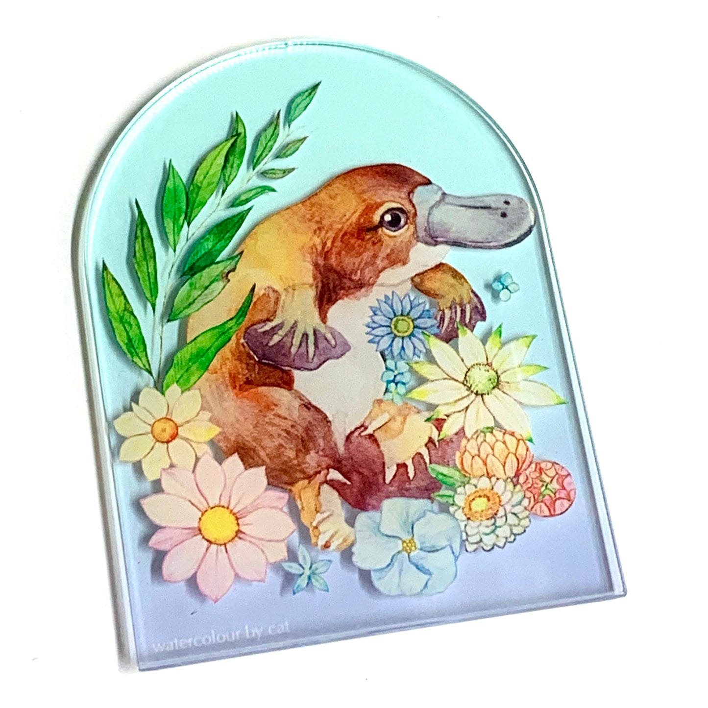 WATERCOLOURS BY CAT- Platypus- Australian Animal Art Magnet