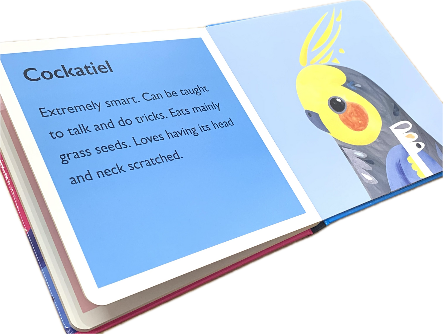 BOOKS & CO - PETE CROMER: AUSTRALIA: FEATHERS - Board Book