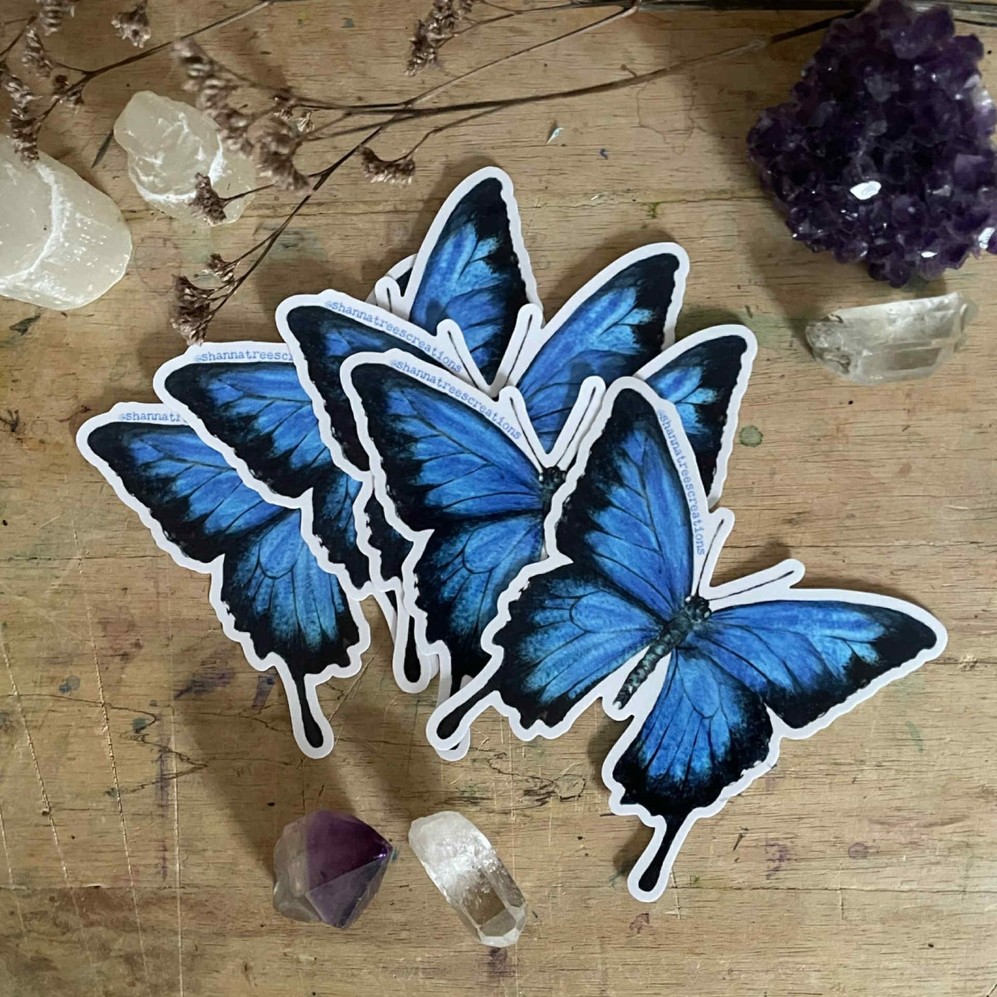 Shanna Trees Creations- Ulysses Butterfly- Large Sticker