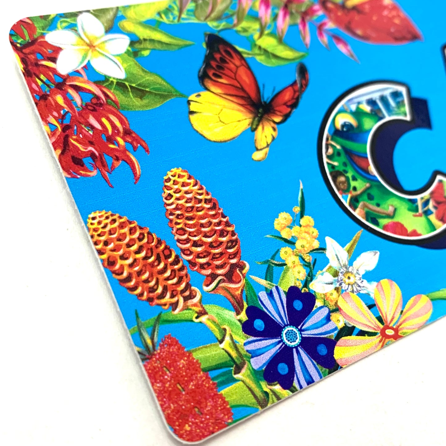 HAYLEY GILLESPIE - CAIRNS TROPICS - BUMPER STICKERS