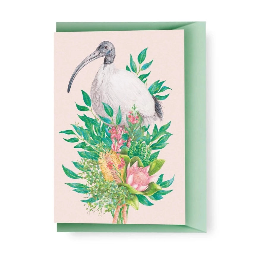 KAYLA REAY- Bin Chicken (Australian White Ibis) Greeting Card