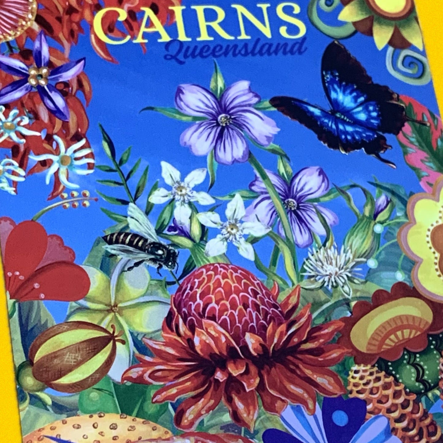 HAYLEY GILLESPIE - "TROPICAL CAIRNS INSECTS” POSTCARD