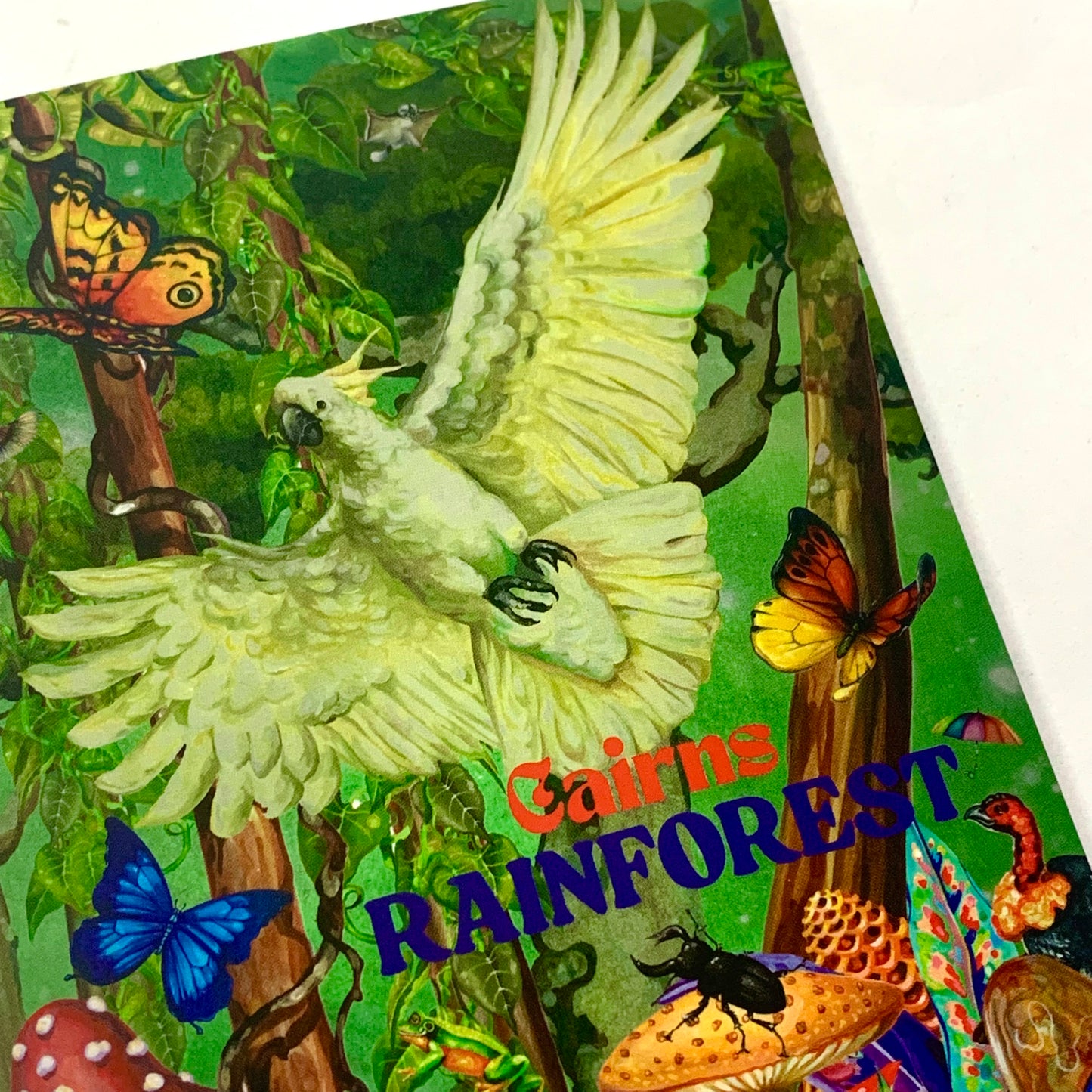 HAYLEY GILLESPIE - "CAIRNS RAINFOREST"- POSTCARD