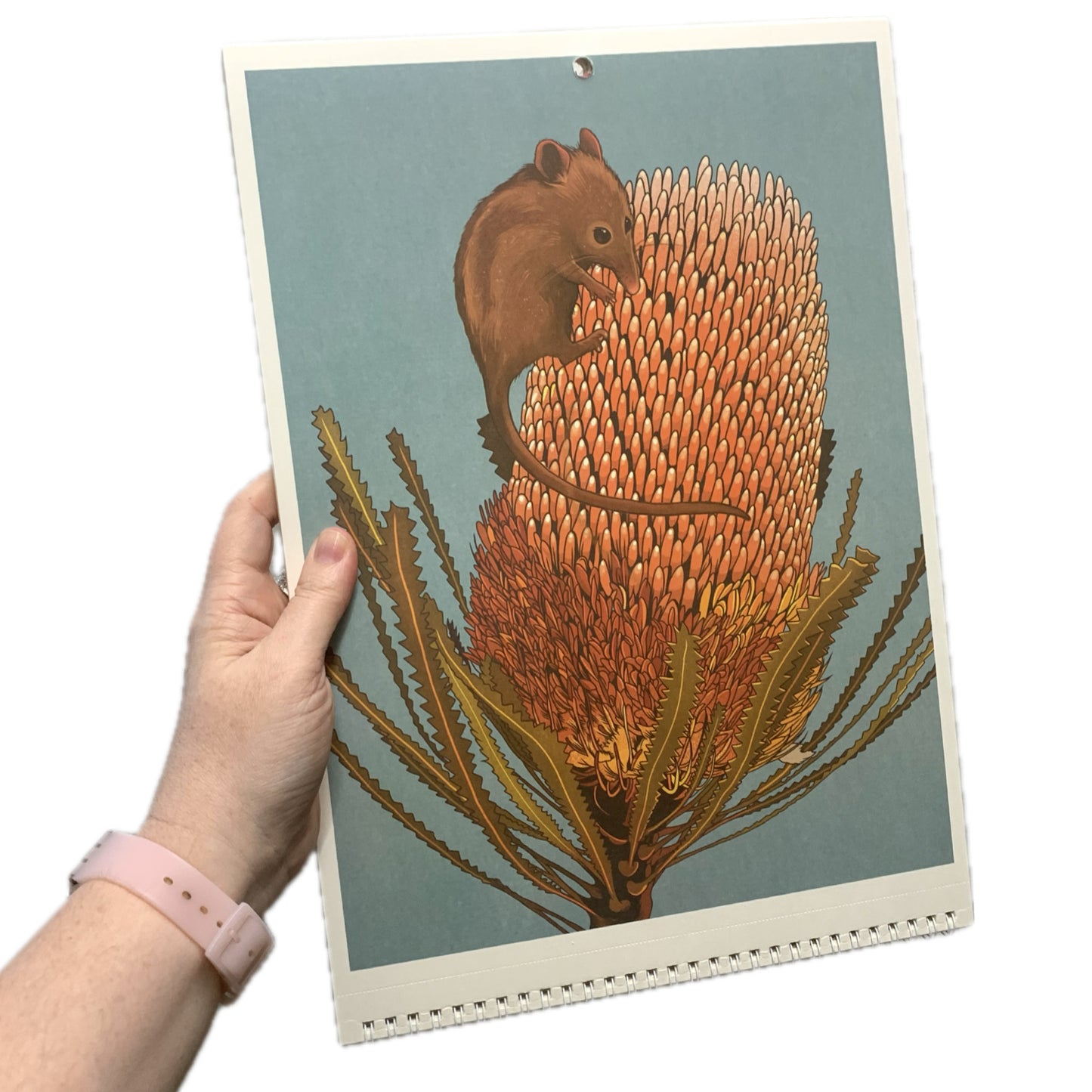 FRANKIE - 2026 CALENDAR