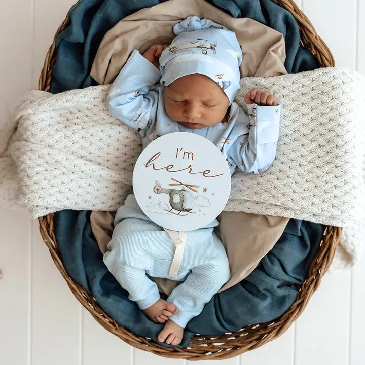 SNUGGLE HUNNY Taking Flight & Pebble Reversible Milestone Cards