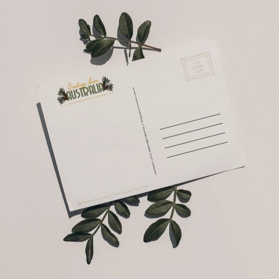 Green Mini Creative - Postcard- Black Cockatoos: "You Bloody Beauty"