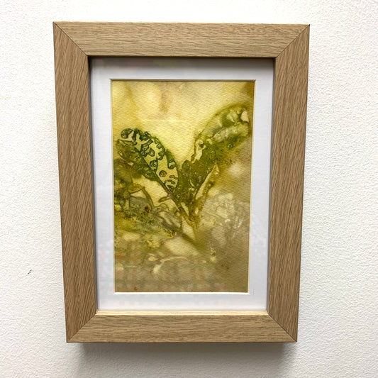 WILD BRASS- "Green Leaves"- BOTANICAL ECO DYED PAPER FRAMED ARTWORK
