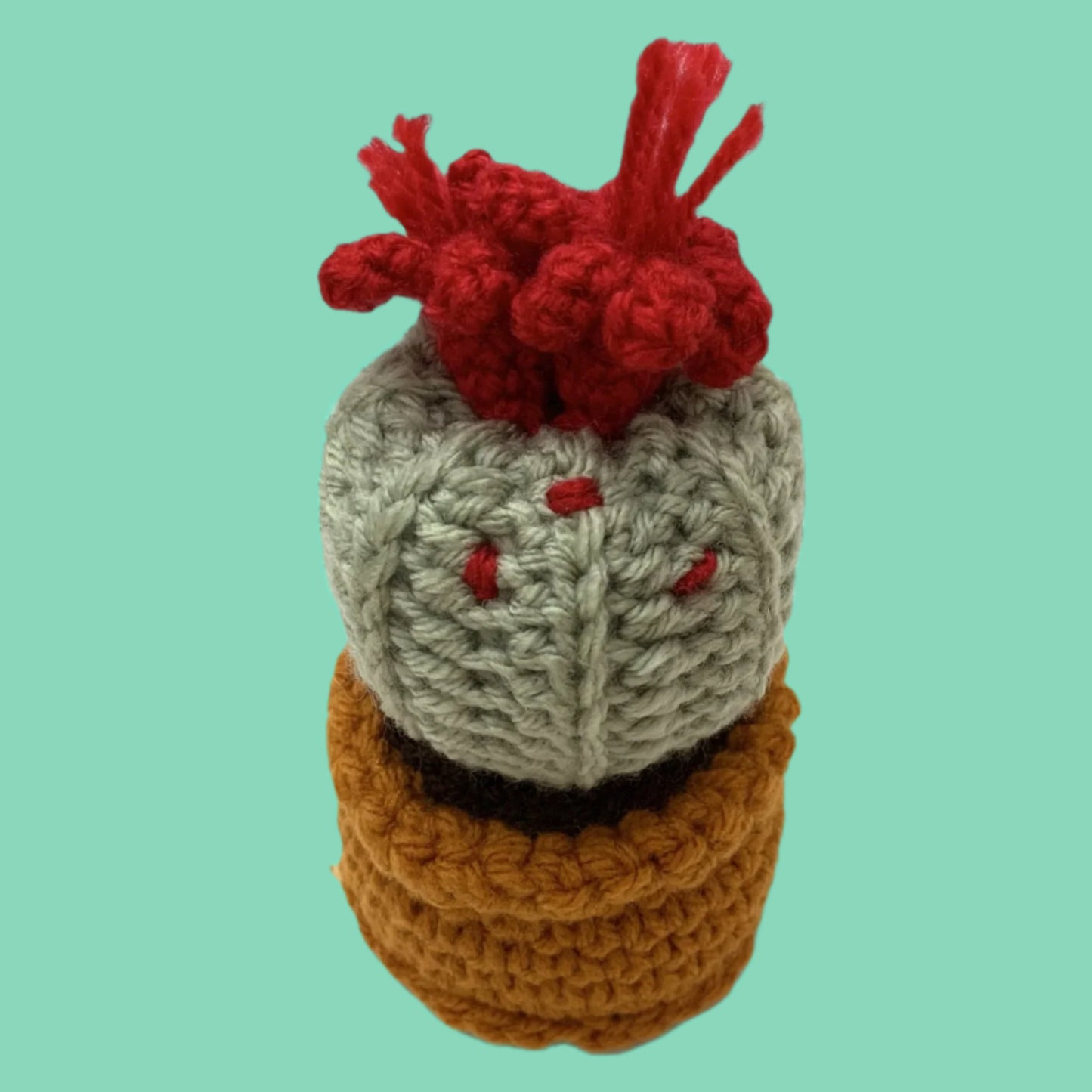 BEAKNITS- CROCHETED CACTUS #3- Red & Sage Green