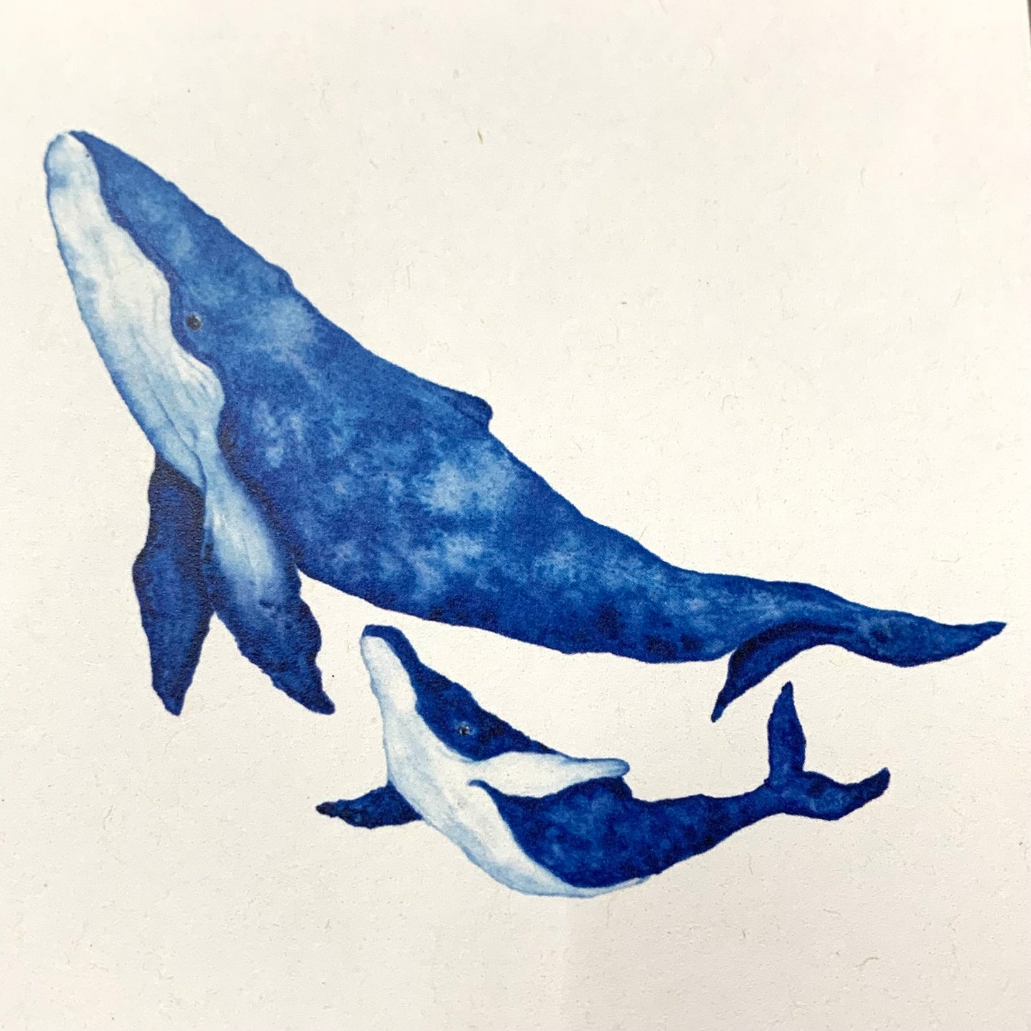 Shanna Trees Creations- Humpback Whales- Regular Greeting Card