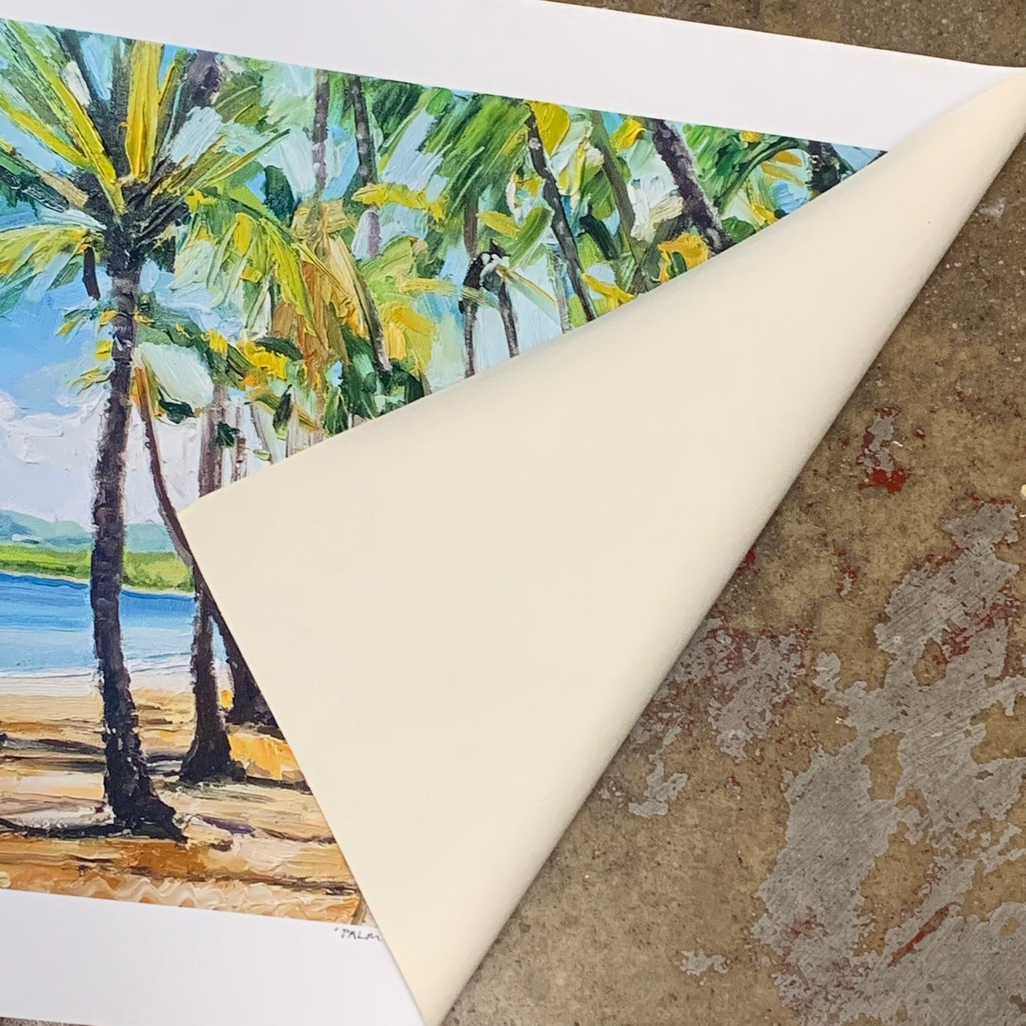 Mark Skelcher Artist - "Palm Cove Palms"- Canvas Print