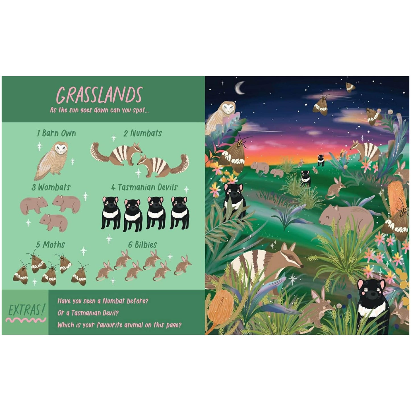 BOOKS & CO - NOCTURNAL ANIMALS: SEARCH AND FIND- Christie Williams