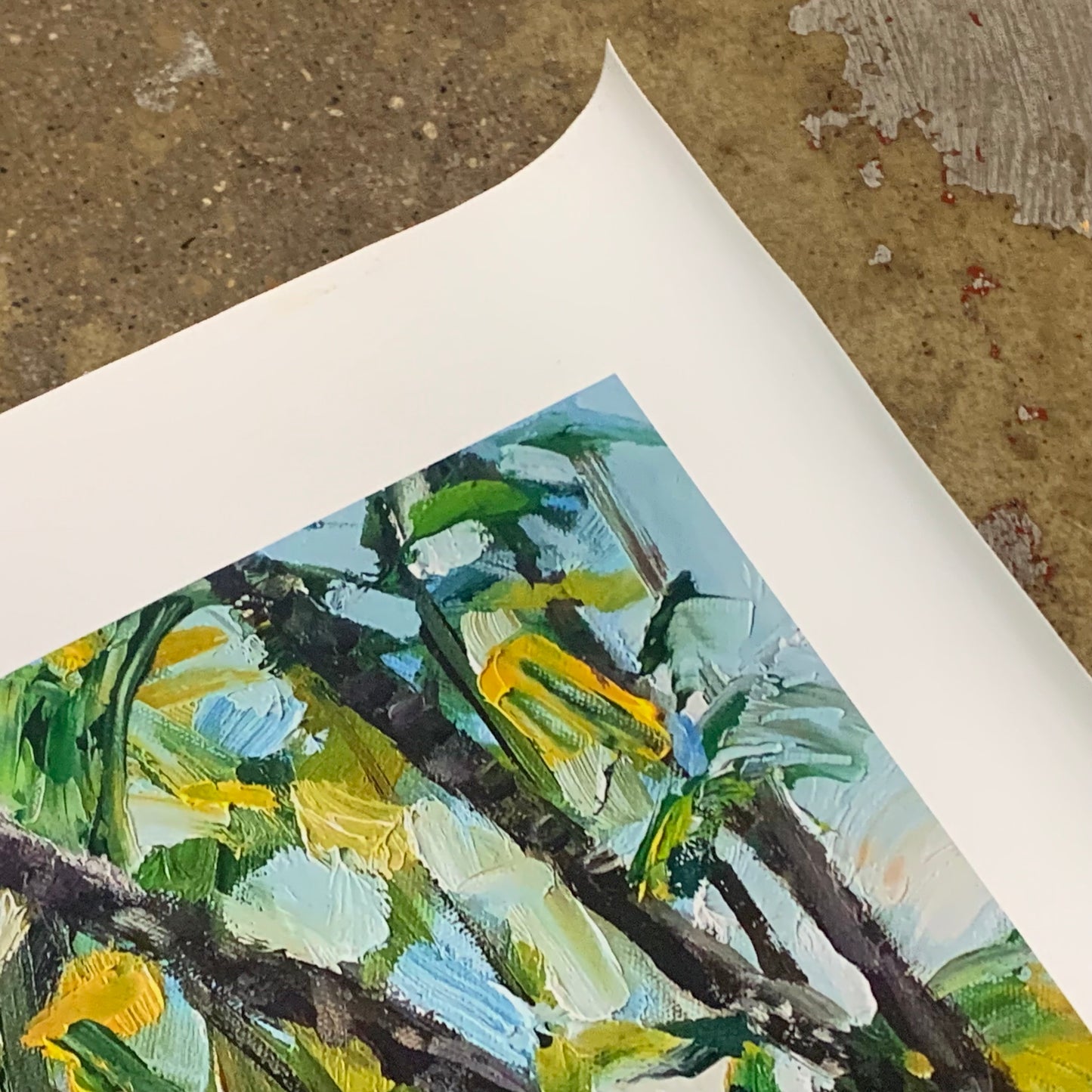Mark Skelcher Artist - "Palm Cove Palms"- Canvas Print