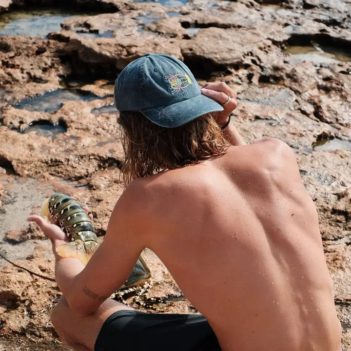 PALLION POINT - FISH LIDS - Tropical Rock Lobster Cap in Stone