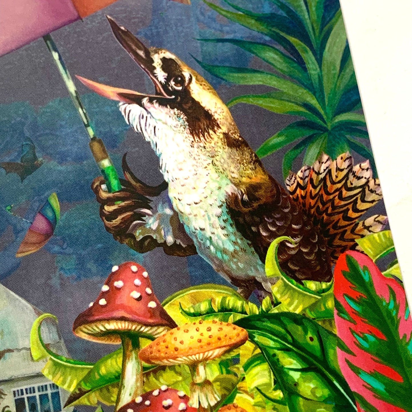 HAYLEY GILLESPIE - "WET TROPICS" POSTCARD