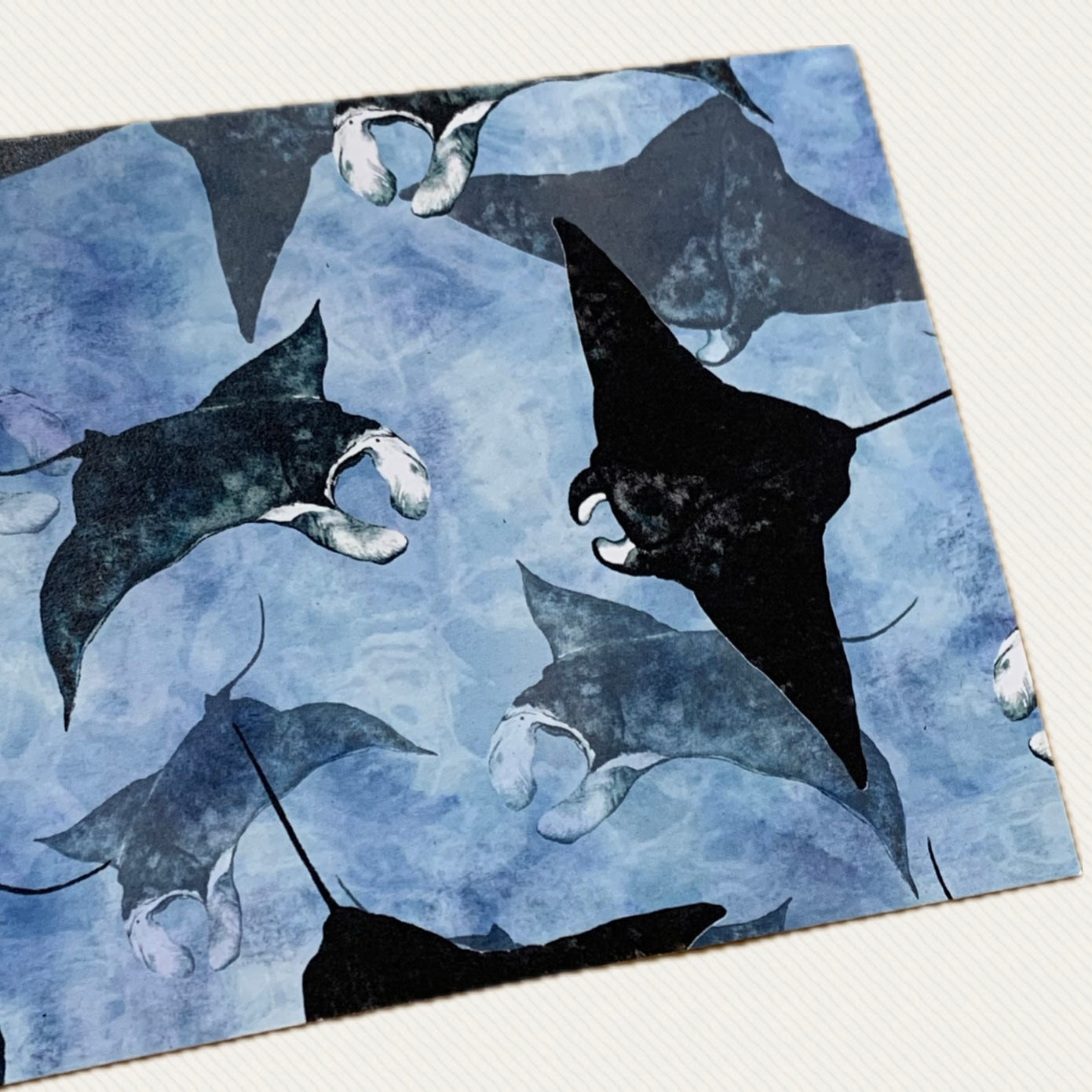 Shanna Trees Creations- Manta Ray Postcard