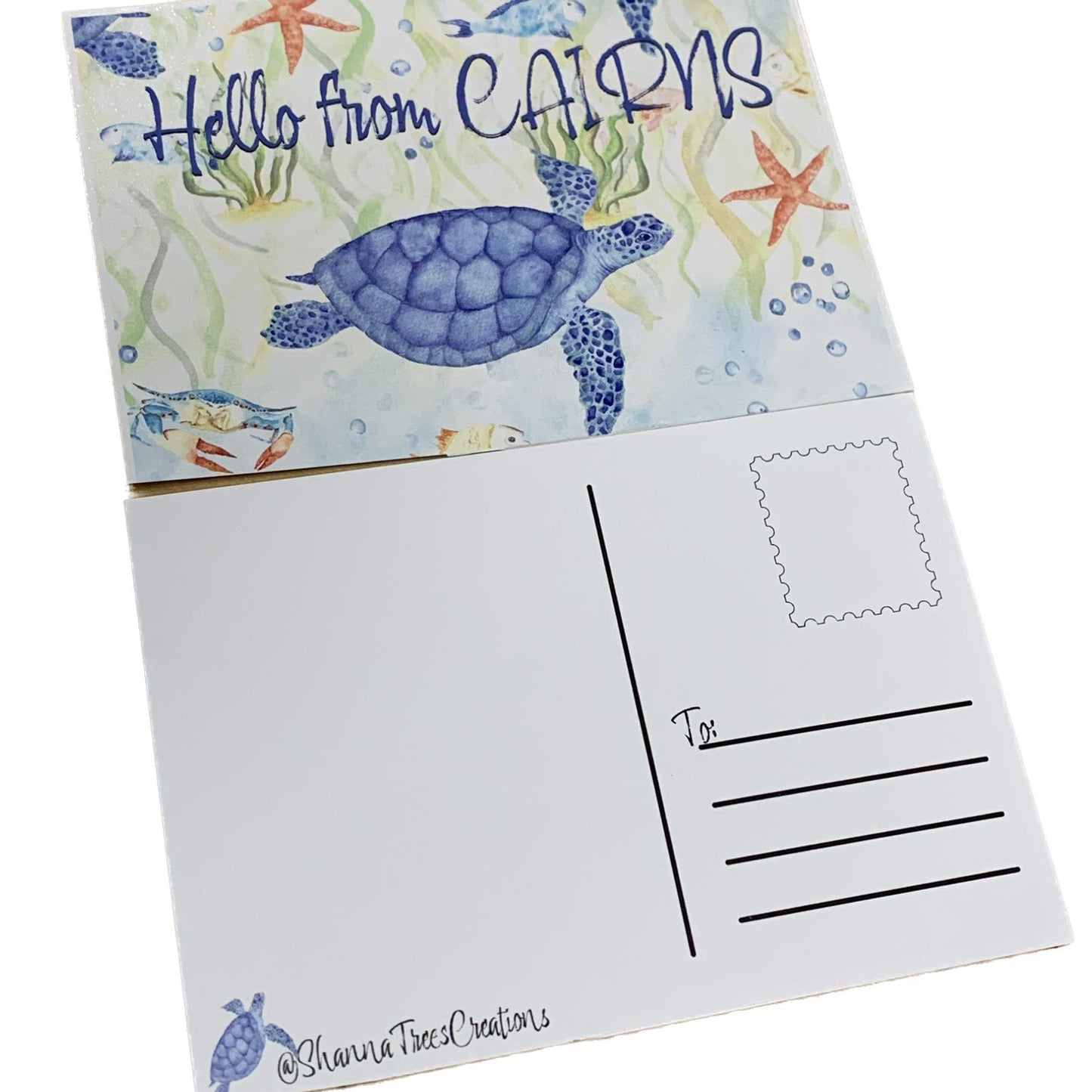 Shanna Trees Creations- Turtle Postcard