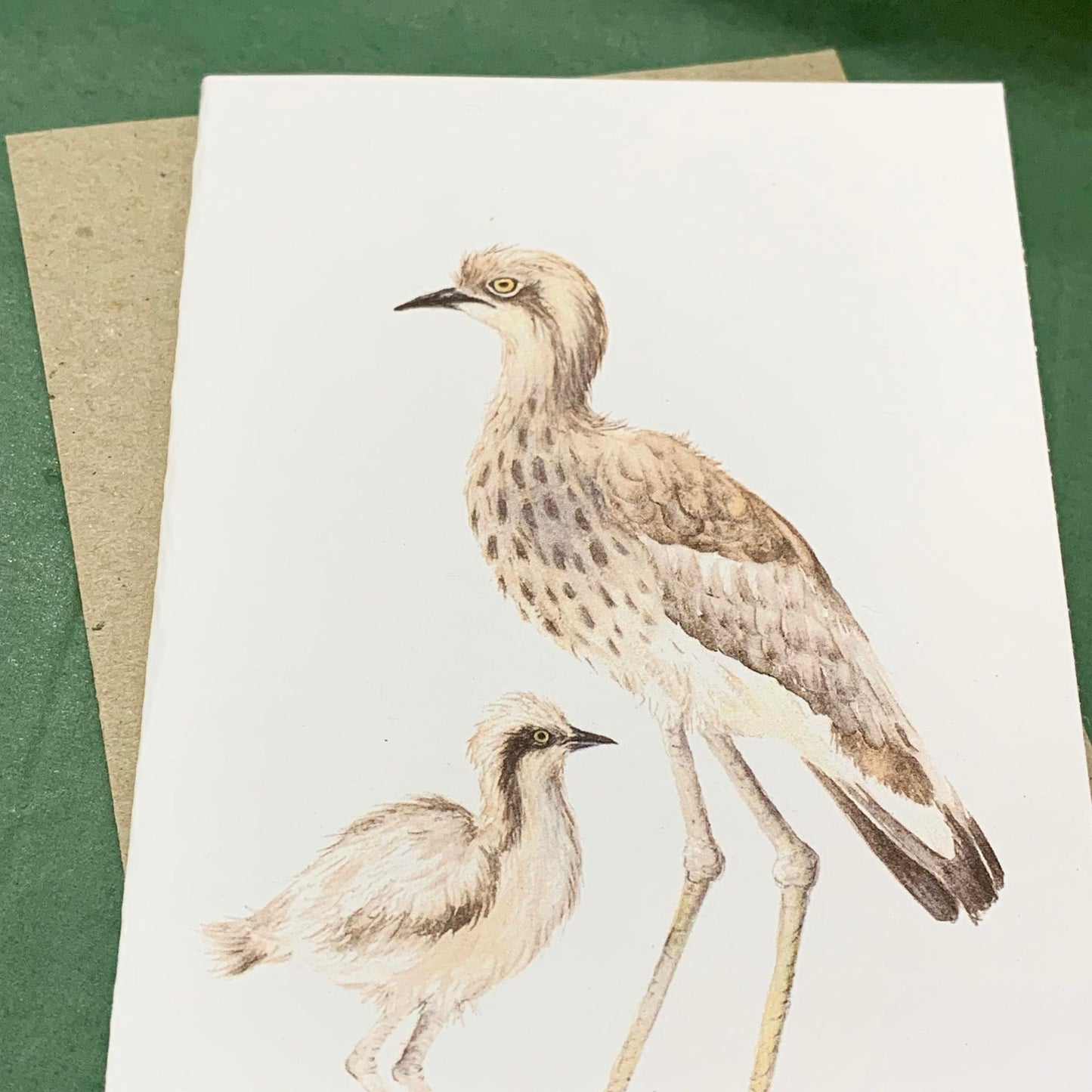 Shanna Trees Creations- Curlew & Chick Regular Greeting Card
