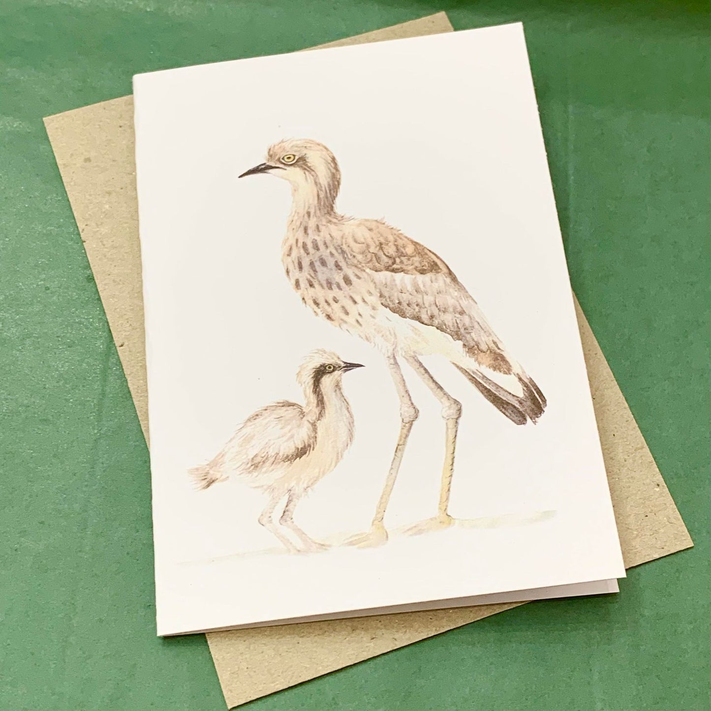 Shanna Trees Creations- Curlew & Chick Regular Greeting Card