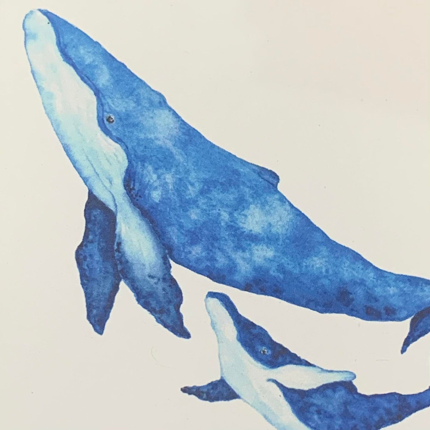 Shanna Trees Creations- Humpback Whales Greeting Card