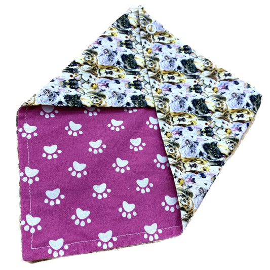 MAKIN' WHOOPEE - Medium Pet Bandana- Dogs Galore & Pink Paw Prints