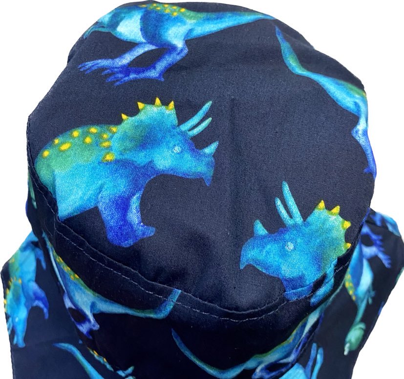 Teacups n Quilts- Dinosaurs Fabric Hat- Kids Size Large