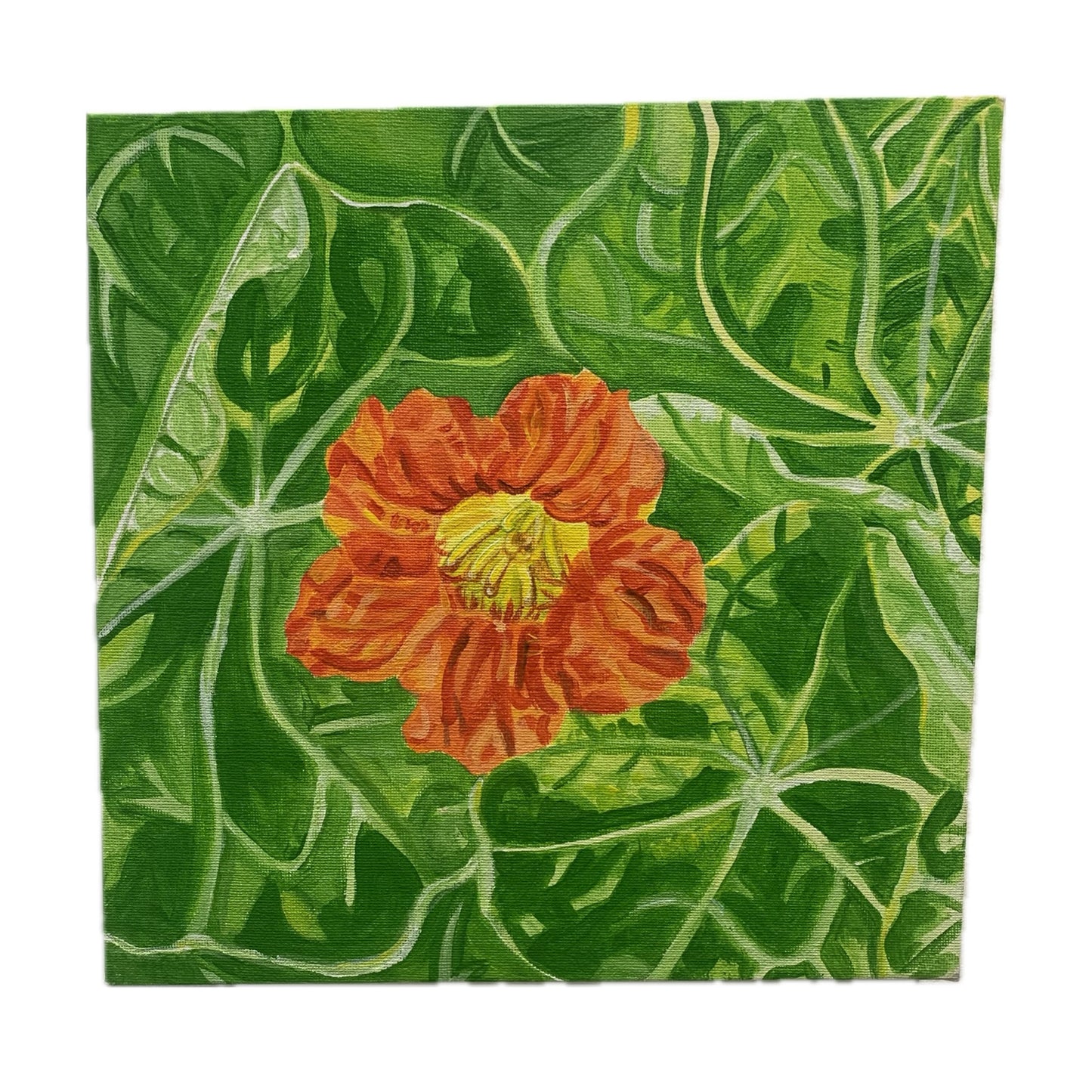 CARLEY CLARKE-RUSHTON - "Nasturtium" PAINTING
