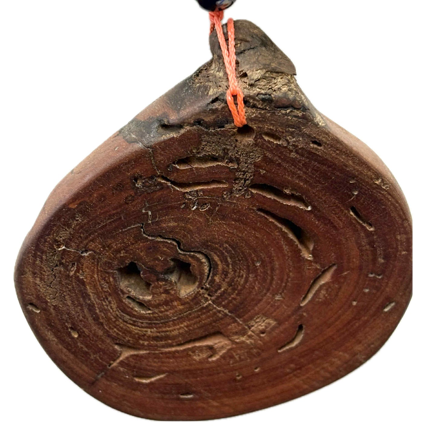 INSPIRED BY NATURE - Ceramic Bird Hanger – Blue Bird on Rose Gum