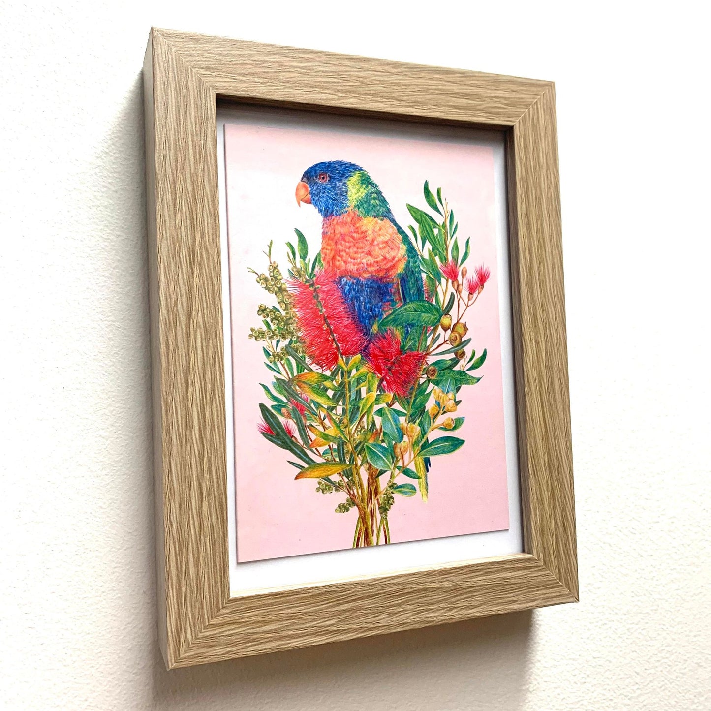 KAYLA REAY- Framed "Rainbow Lorikeet" Print