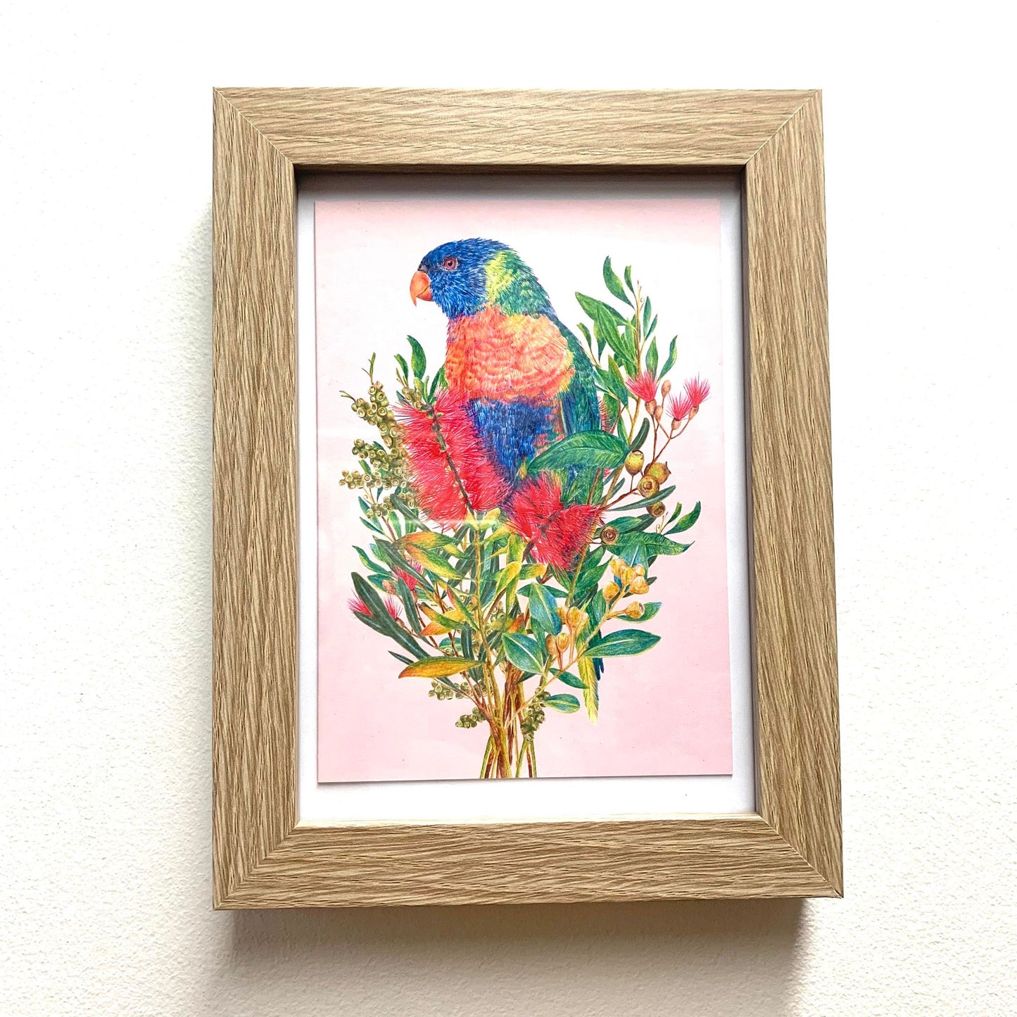 KAYLA REAY- Framed "Rainbow Lorikeet" Print