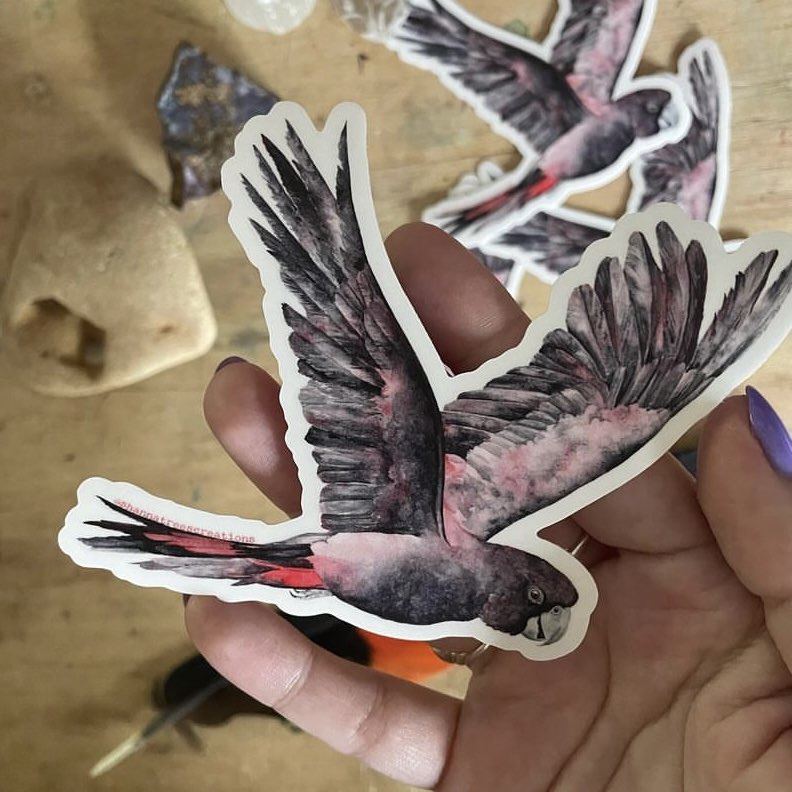 Shanna Trees Creations- Flying Black Cockatoo Medium Sticker