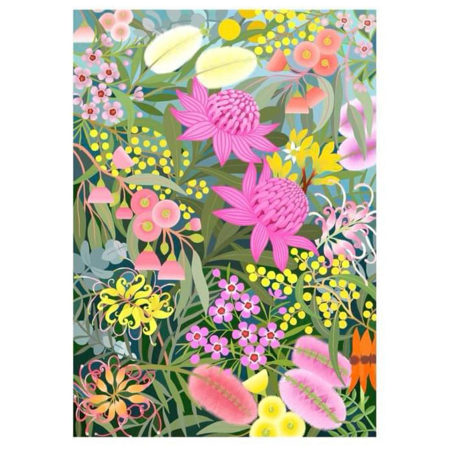 CLAIRE ISHINO- LARGE LIMITED EDITION A3 PRINTS- AUSTRALIAN NATIVE TREASURES