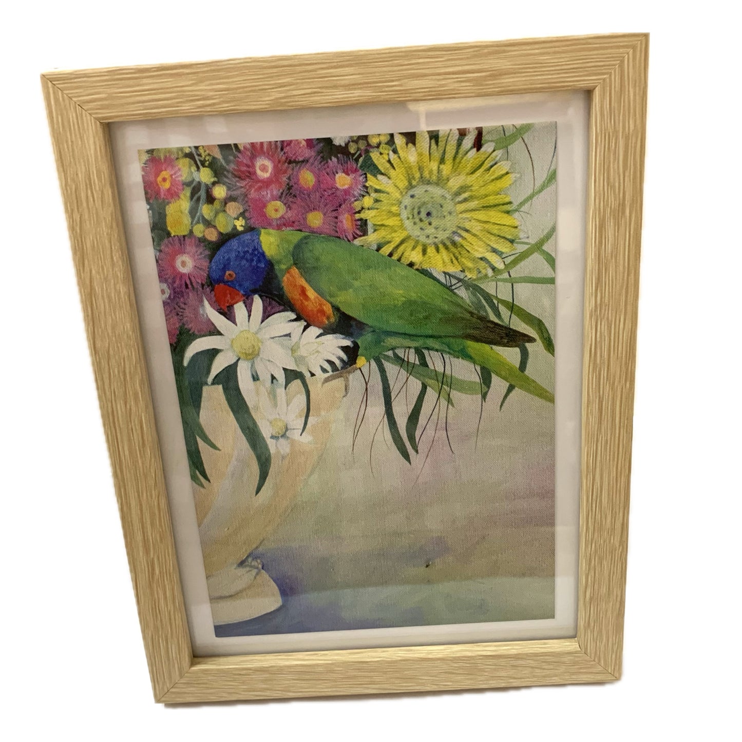 NUOVO - "Lorikeet & Blooms" Framed Image