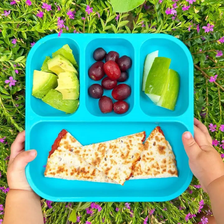 BOBO & BOO- Single Plant-Based Bento-Style Divided Plates - Blue