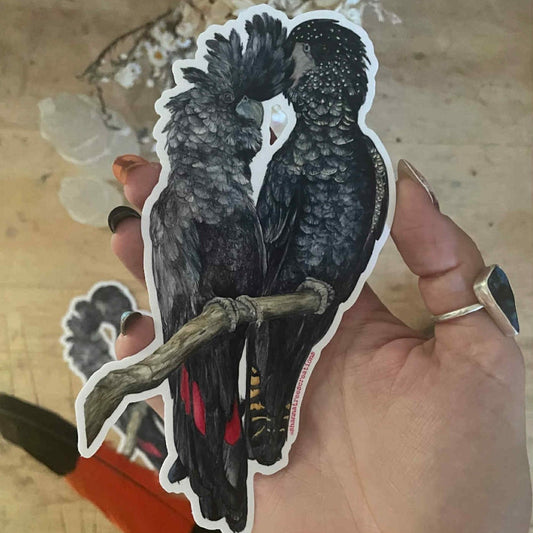 Shanna Trees Creations- Red Tail Black Cockatoo Couple- Large Sticker