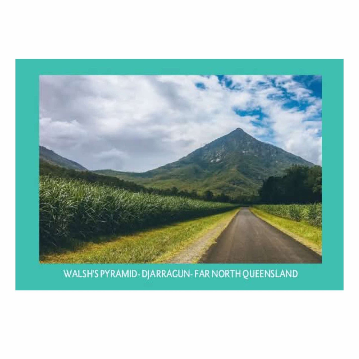 MAKIN' WHOOPEE - THE PYRAMID - POSTCARD