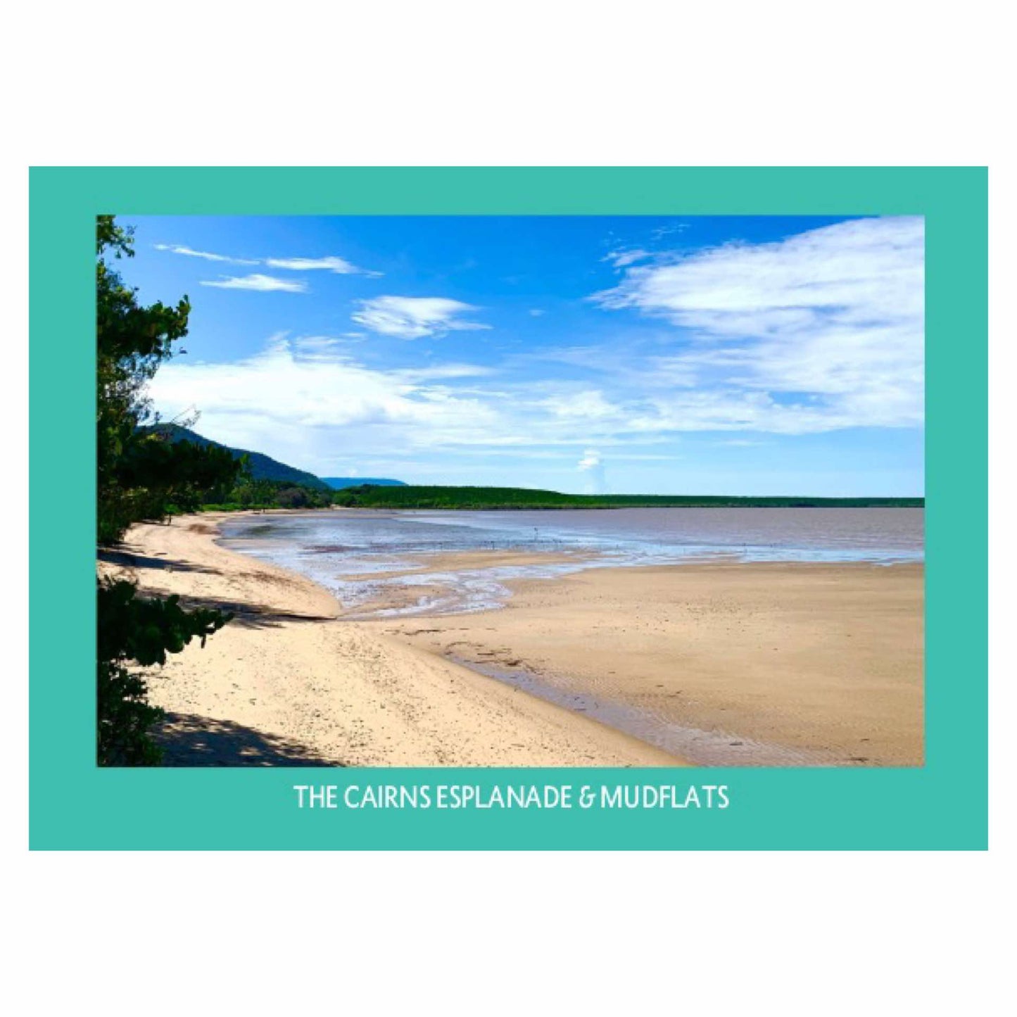 MAKIN' WHOOPEE - ESPLANADE MUDFLATS - POSTCARD