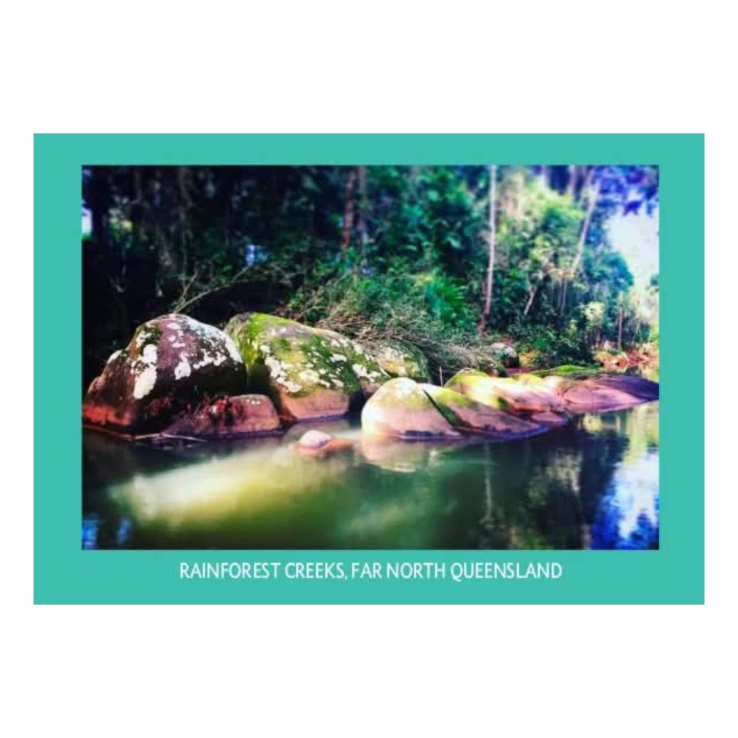 MAKIN' WHOOPEE - RAINFOREST CREEK - POSTCARD