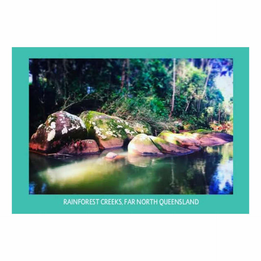 MAKIN' WHOOPEE - RAINFOREST CREEK - POSTCARD