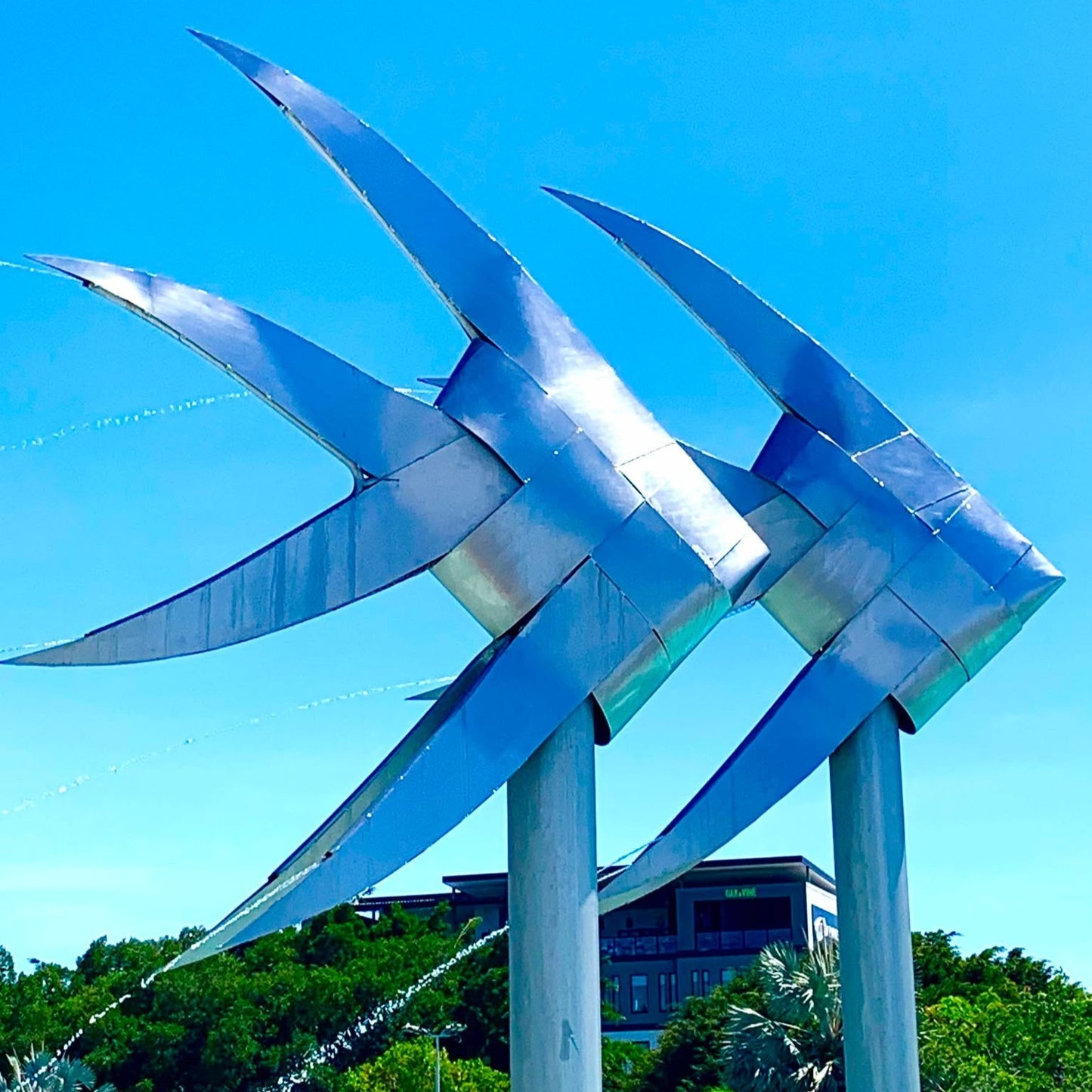 MAKIN' WHOOPEE - WOVEN FISH- POSTCARD