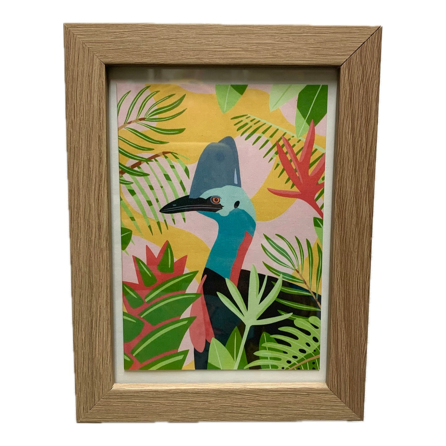 OUTER ISLAND "Cassowary"- Framed Image