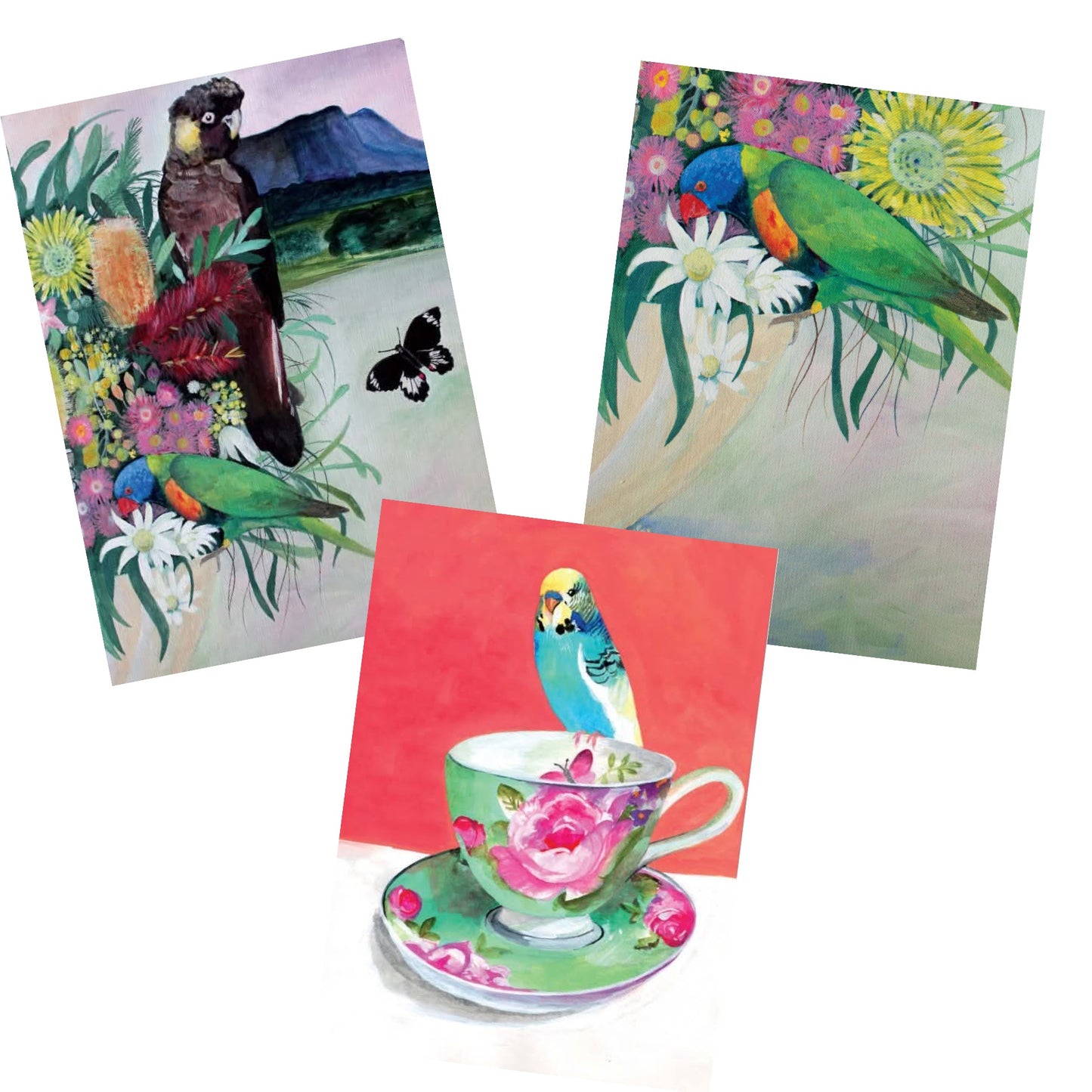 NUOVO - "Lorikeet & Nectar" by Daniela Glassop- GREETING CARD