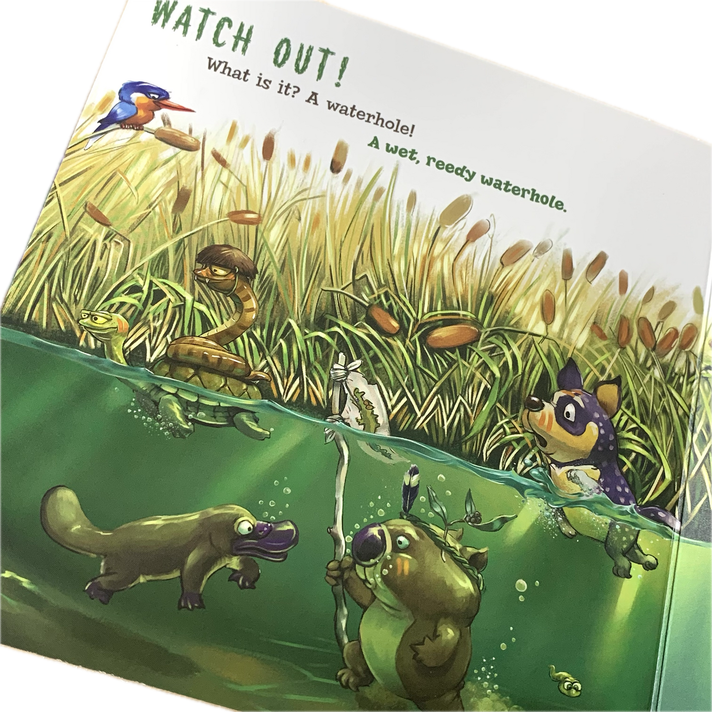 BOOKS & CO - WE’RE GOING ON A CROC HUNT- Laine Mitchell